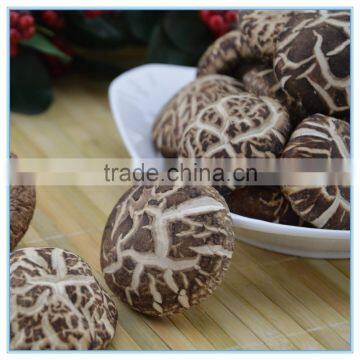 Dried Shiitake Mushroom Wholesale, White Flower Shiitake