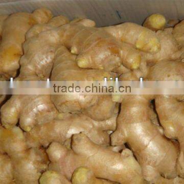 Fresh air dried ginger