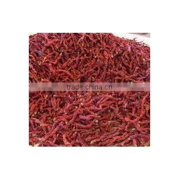 XIAN Chili, Wrinkle Xian Chili, Dried Xian Chili, XIAN Chili Stemless, Xian Chili no Stems, Xian Chili New photo-2