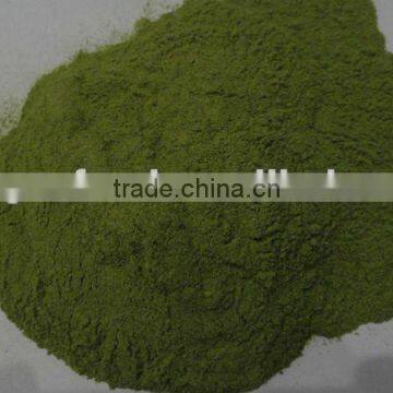 supply ad spinach powder 2012 Grade A