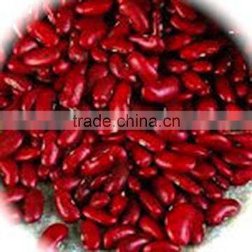 JSX bulk pakaging red kidney beans excellent new crop red speckled kidney bean