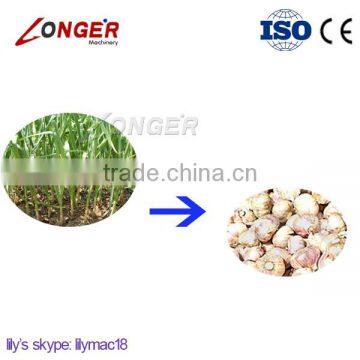 Factory Supply Potato/Garlic/Peanut Harvesting Machine With CE Certification photo-2