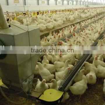 Automatic Poultry Pan Feeding System photo-3