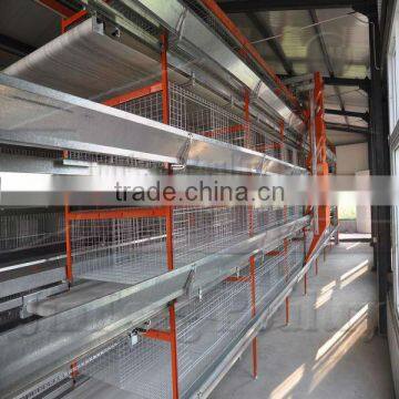 poultry cages hot dipped galvanized 20 years lifetime baby chicken cages with Auto water system