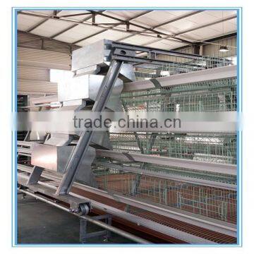 Fully automatic chicken feeding equipment/chicken feeding system for sale