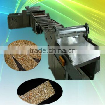 hot sale Melon seed crisp production line with high capacity