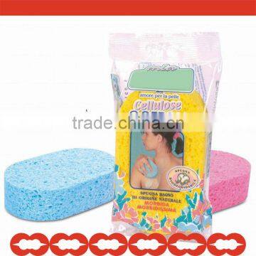 bath scrub sponge