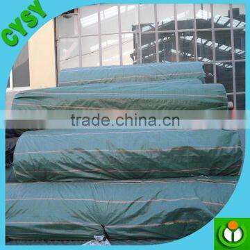 PP Ground Cover,weed Barrier Fabrics, Weed Mat in Strawberry Garden