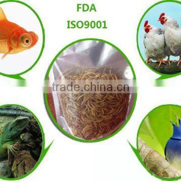 Good quality bird feed dried mealworms, commerfish food mealworms