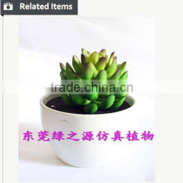 Varied Artificial Succulents Wholesale Artificial Mini Succulents Potted photo-3