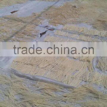 Perfume Reed Stick photo-2