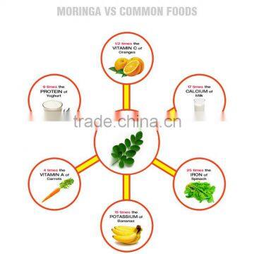 Moringa Leaf Powder photo-2