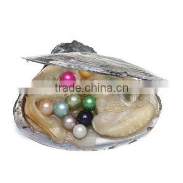 2017 New Colored Freshwater Cultured Pearl Oyster Dyed Fashion Design photo-2