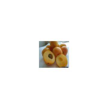 Apricot Puree