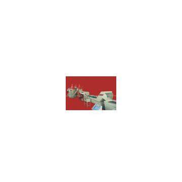 PET Flake Automatic Washing Line