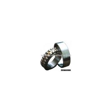 Double Row Cylindrical Roller Bearing,Model NN3006K