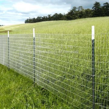 Welded Wire mesh fencing Rigid panel