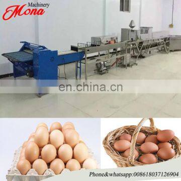 Горячая продажа сортировщика яиц/машины для сортировки яиц/машины для классификации яиц photo-6