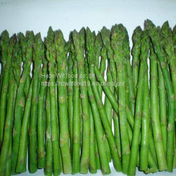 IQF Green Asparagus photo-5