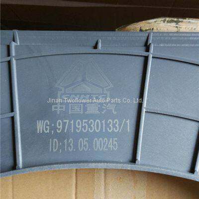 WG9719530133 Wind shield