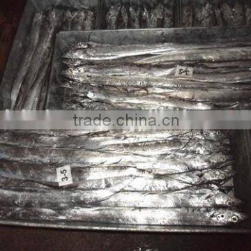 150 - 250 g / pcs Frozen ribbon exporters