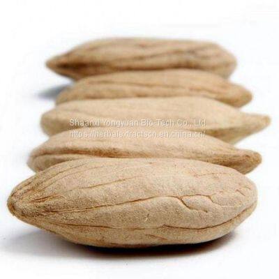 Irvingia Gabonensis Seed Extract, Wild Mango seed Extract 5:1 TLC, manufacturer, Yongyuan Bio