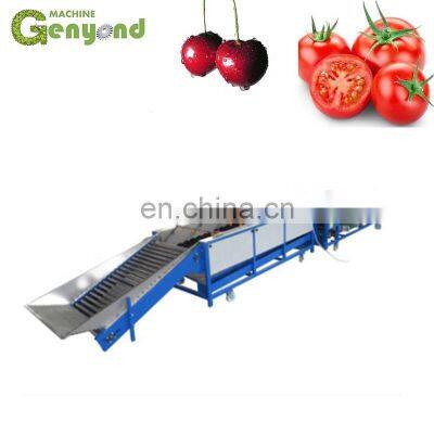 Fruit & Vegetable Washing/drying/waxing/sorting Line/machine/fruits Processing Plant photo-3
