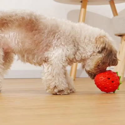 Strawberry Dog Chew Toys Rubber for Pet Teething Durable Dog Toys for Boring Puppy Teething Toys Pet Accessories photo-4