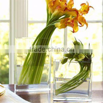 Glass Dispaly Hurricane Pillar Votive Taper Candle Cups