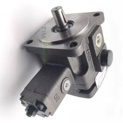 VGPE Hydraulic Vane Pump VGPE-F25D-PA-10 VGPE-F30D-PA-10 VGPE-F40D-PA-10 VGPE-F35D-PA-10 Variable Displacement Vane Oil Pump photo-4