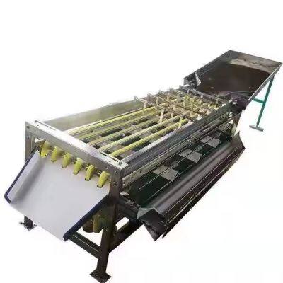 Smart Chili Vegetable Sorting Grading Machine Sorter Grader Machine Line