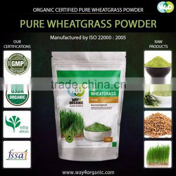 Premium Quality Wheat Grass Powder