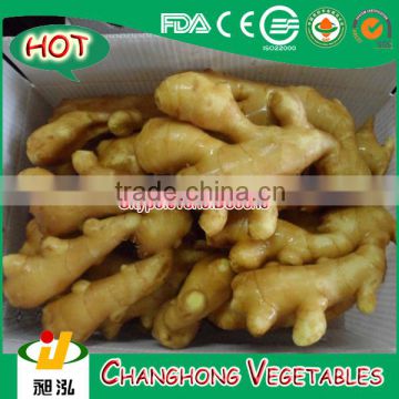 2015 fresh ginger with lowest price 10kg/carton