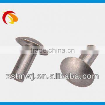 blind rivet screw
