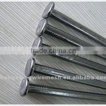 (factory)galvanized nails common nails/ roofing nails hot dipped nails/concrete nail