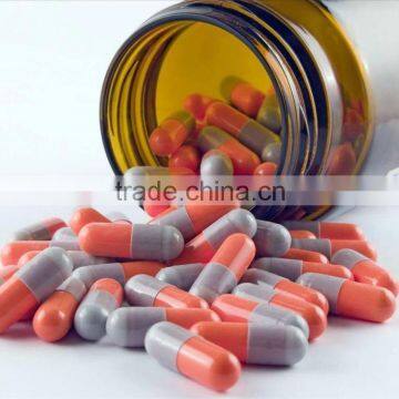 NJP-400 Fully Automatic Medicine Soft Hard Capsule Machine