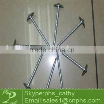 Galvanized roofing nail