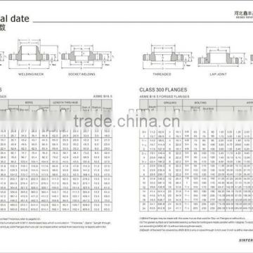 forged flanges ansi b16.5 300#