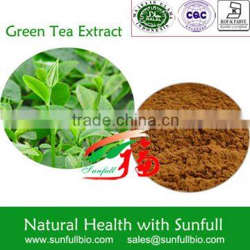 Green Tea L-Theanine 20% ~ 30%