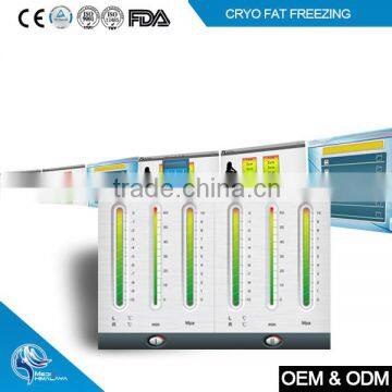 Beauty Design Cryo Fat Removal Slim Freezer Weight Loss Machine photo-6