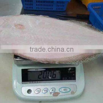 High Quality Single Piece Fish Flounder Flatfish