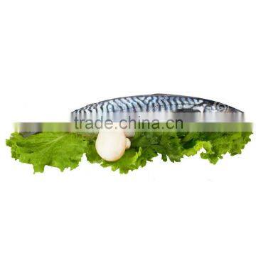 Good quality frozen seafood mackerel