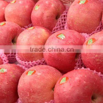 Fresh Fuji Apple photo-5