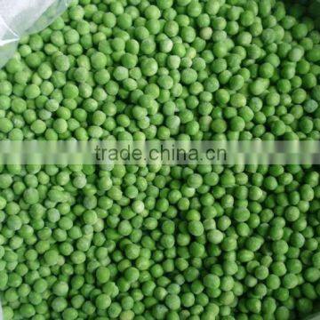 Best Sale of Frozen Fresh Green Pea New Crop photo-3