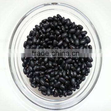 JSX Sweet Black Kidney Bean Common Export Black Bean photo-4