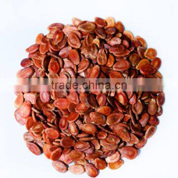 Big Size High Quality 2016 Raw Watermelon Seeds