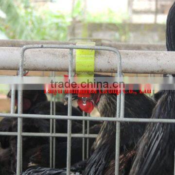 TAIYU poultry water drinker
