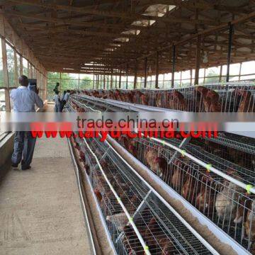 TAIYU Best Sale Chicken Egg Layer Cages System