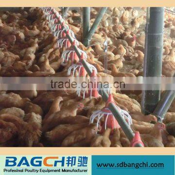 BC Series Automatic Poultry Equipment Chicken Pan Feeder