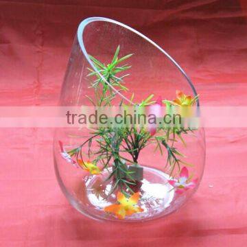 clear glass vase fish farm